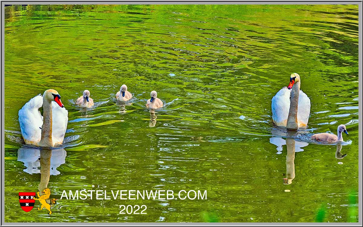 Foto Amstelveen