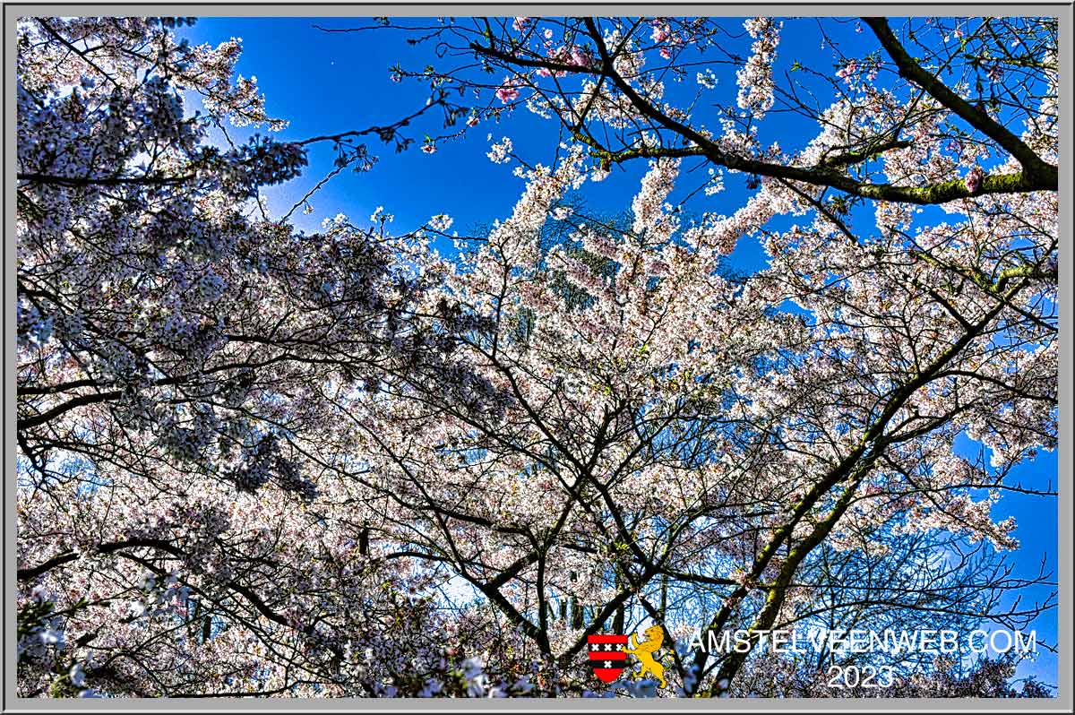 Foto Amstelveen